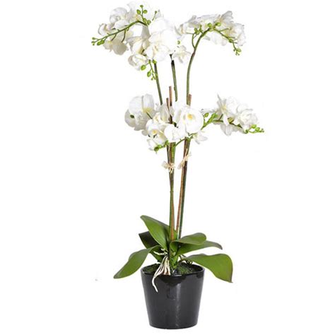 1.the artificial phalaenopsis flower are handmade with a little. Real Touch Phalaenopsis Orchid Plant White 92cm ...