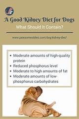 Dog Holistic Diet Pictures