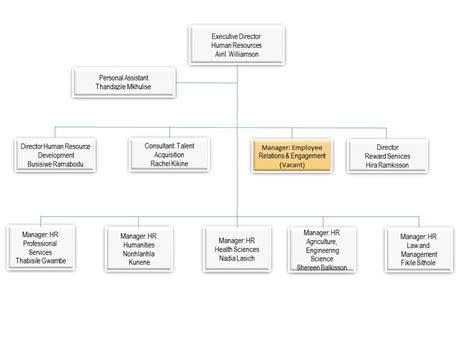 Ministry of human resource development. Organogram
