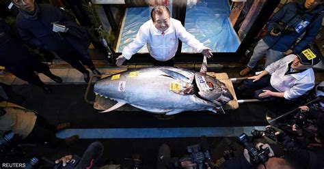 بيع سمكة تونة عملاقة بـ18 مليون دولار سكاي نيوز عربية