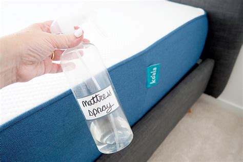 Let's learn more about the ingredients to make the best antibacterial. Natural DIY Mattress Spray - The Organised Housewife