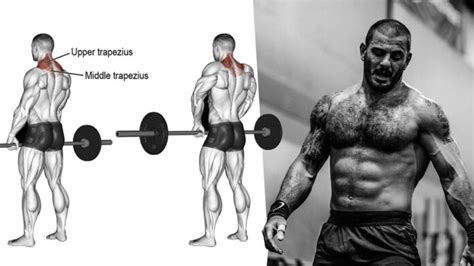 How To Build Huge Strong Traps With The Barbell Shrug Benefits