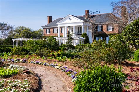 Boone Hall Plantation And Gardens Mount Pleasant South Carolina