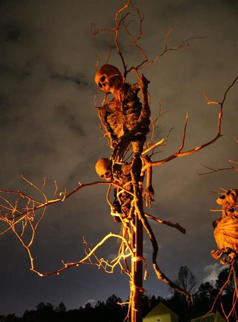 Skeleton Tree This Is A Great Prop And A Beautiful Photo Entrada