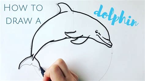 Beginners How To Draw A Dolphin Step By Step Youtube Palm Frond Art