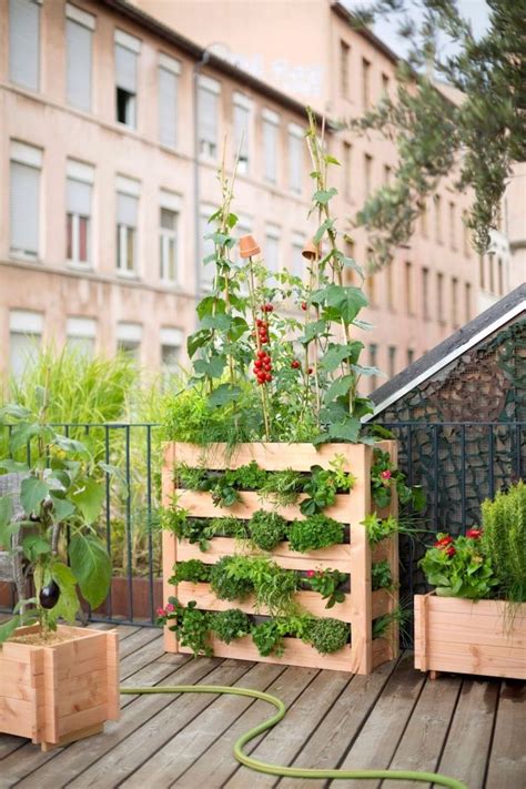 Jardin Et Potager Vertical 70 Idées Pour Les Aménager Faire Un