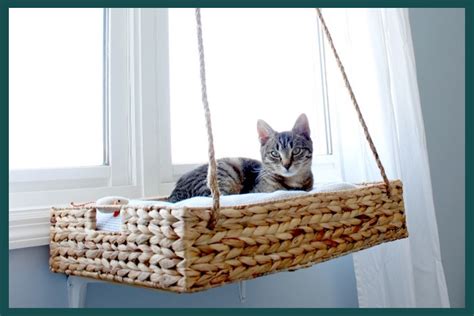 8 Diy Cat Bed Ideas That Are As Eco Friendly As They Are Cozy Brightly