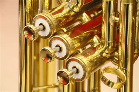 I transfer the following shares standing in our name in the register of the company to hold unto the said. Brass instrument - Wikiwand