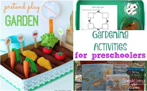Gardening Activities For Preschoolers Simple Living Mama