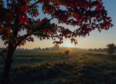 Free Images Landscape Nature Outdoor Branch Sky Track Sunrise