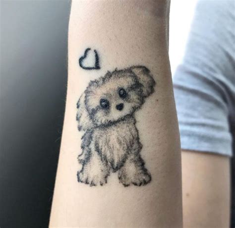 15 Ideas For Bichon Frise Tattoo Page 4 Of 5