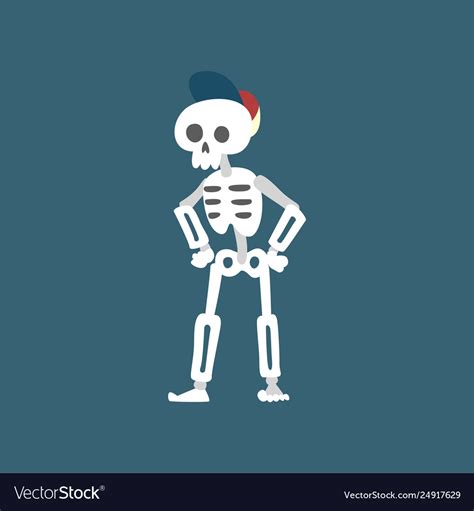 Human Skeleton Wearing Baseball Cap Standing Vector Image