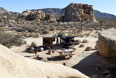 Rangers Work For No Pay To Keep Joshua Tree National Park Open Clean