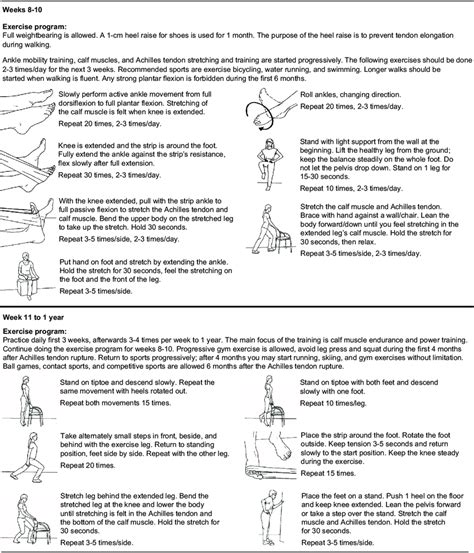 Training Program For Achilles Tendon Ruptures Download Scientific