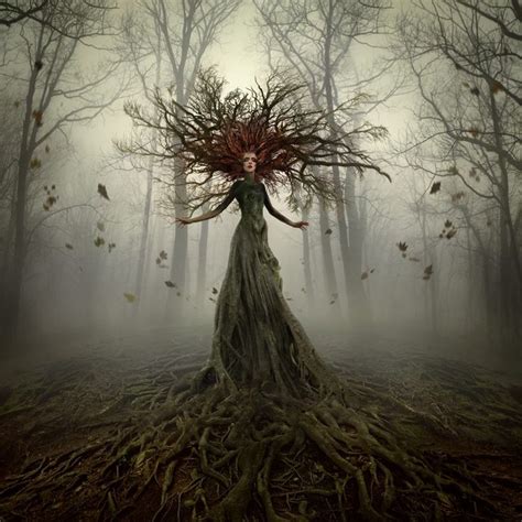 Forest Witch Tree Art Fantasy Art Art