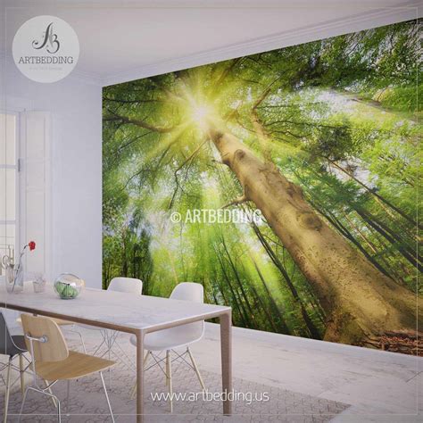 Sun Rays Setting A Magical Mood In Forest Photo Wall Mural Artbedding