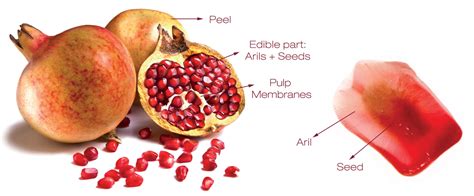 The juicy arils of the fruits are eaten fresh, and the juice is the source of grenadine syrup pomegranate is high in dietary fiber, folic acid, vitamin c, and vitamin k. Just ate pomegranate for the first time and got a question : AskCulinary