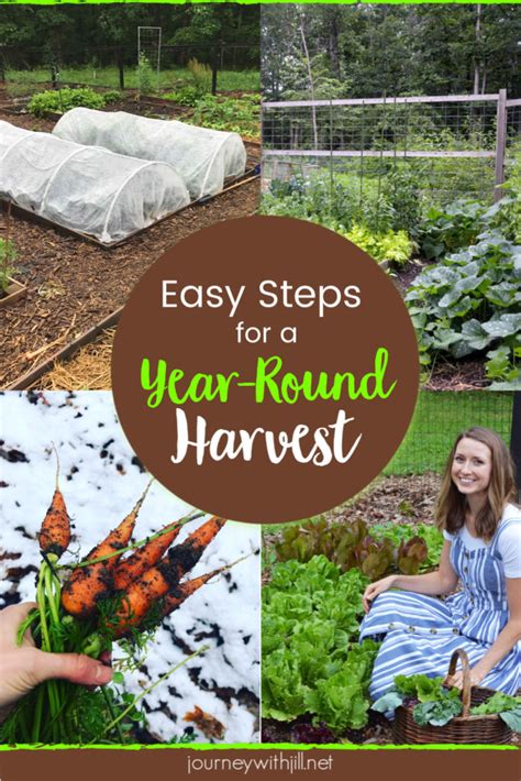 Plan A Year Round Harvest For Your Garden The Beginners Garden