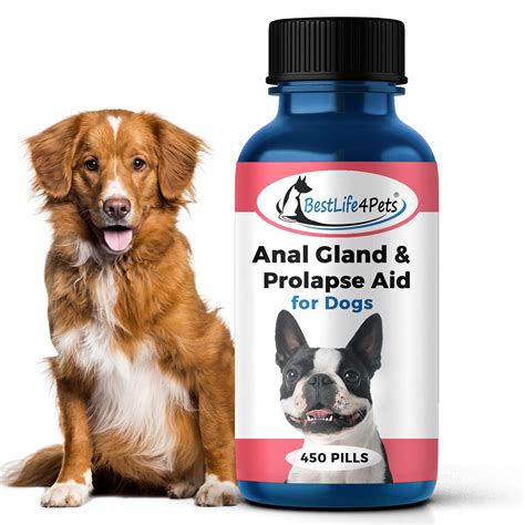 Buy Bestlife4pets Anal Prolapse Pain For Dogs With Digestive Enzymes