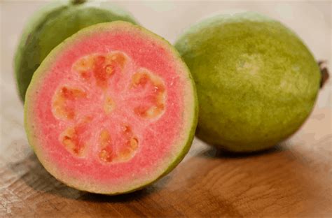 While many people enjoy the medicinal benefits of boiling the leaves of guava and sipping them as tea, a dog doesn't need any other liquids. Can Dogs Eat Guava? - Dog Advice Center
