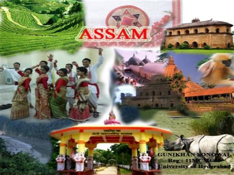 Assamthe Beautiful State Of Northeast India