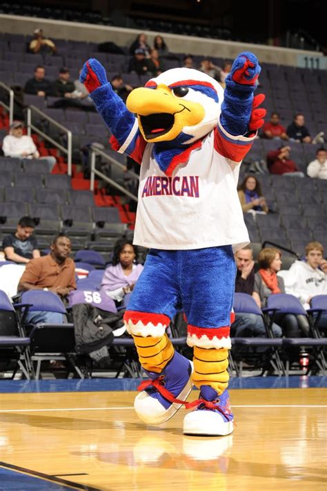 American University Eagles Mascot Clawed The Eagle Mascot Nfl