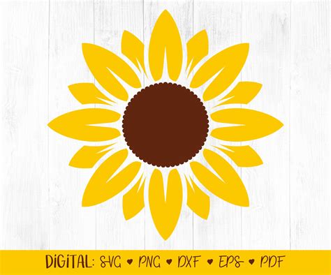Sunflower Svg Flower Clipart Yellow Svg Files Cricut | Etsy