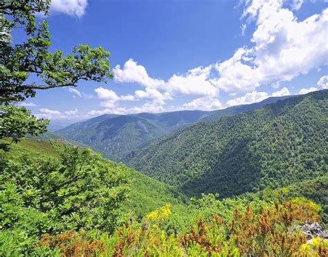 Top 10 Spanish Forests