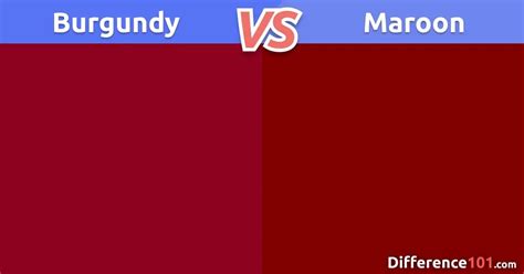 Burgundy Vs Maroon Color Matching Differences And Similarities