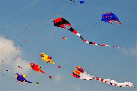 Uttarayan The Kite Flying Festival In India Savaari Blog