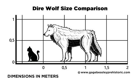 This Gray Wolf Size Comparison Will Blow Your Mind!
