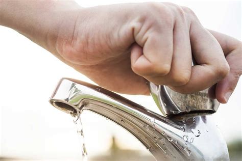 9 Easy Ways To Save Water Around The House Cess Group