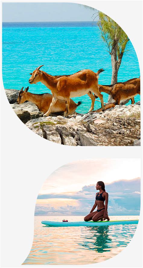 Inagua The Birdwatching Capital Of The Bahamas Islands