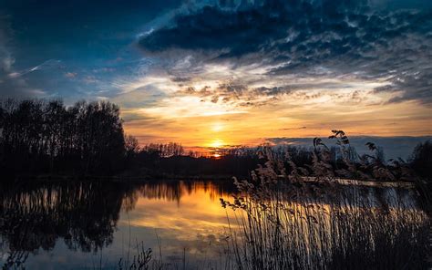 Forest Lake Reeds Sunset Forest Lake Reeds Sunset Hd Wallpaper