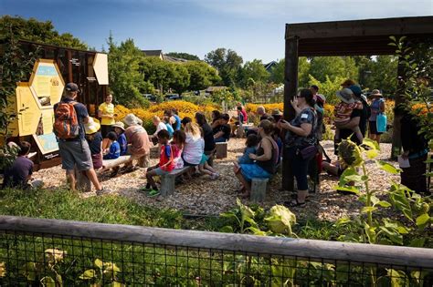 Maybe you would like to learn more about one of these? West Seattle Bee Garden - Read Blog