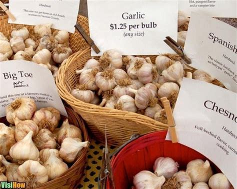 Growing Garlic Indoor Growing Vs Outdoor Planting Visihow