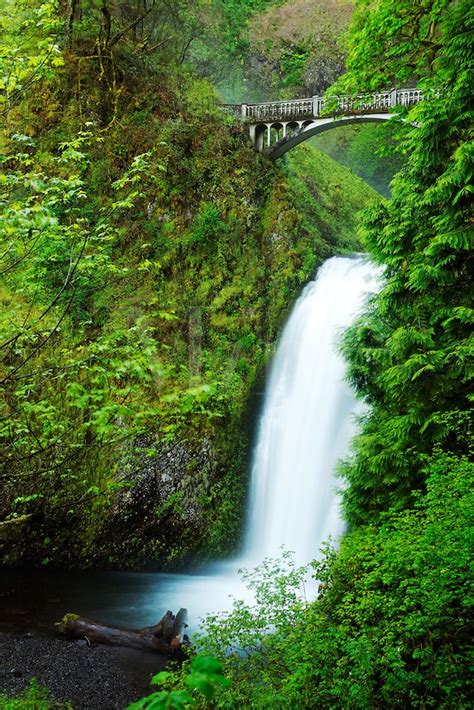 Multnomah Falls And Benson Bridge Columbia River Gorge Oregon Usa