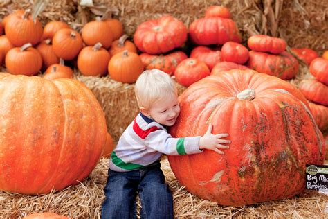 October Harvest Festivals: Know the Basics — National Event Pros