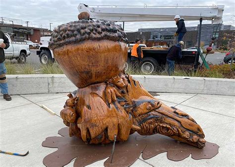 Giant Acorn Sculpture Unveiled Downtown Oak Harbor Garry Oak Society