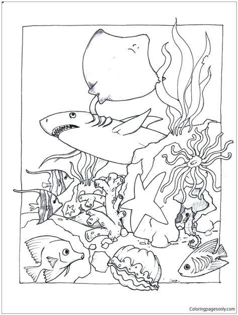 Realistic Sea Life Coloring Pages At GetColorings Com Free Printable