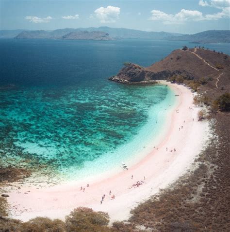 Pink Beach Komodo Island Pink Sand Beach And Epic Snorkeling We
