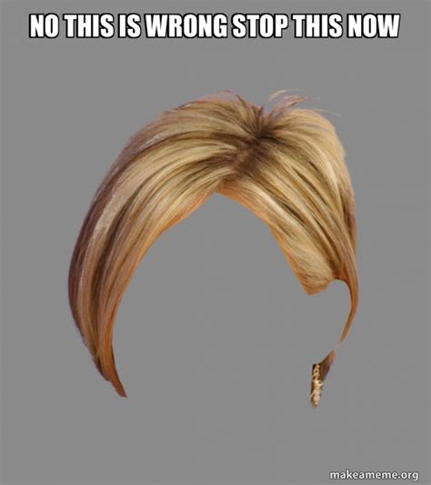 No This Is Wrong Stop This Now The Karen Hair Make A Meme