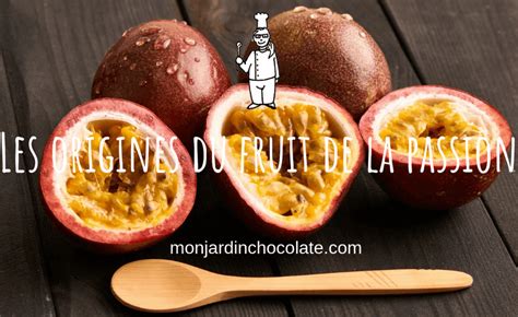 Les Origines Du Fruit De La Passion Mon Jardin Chocolate