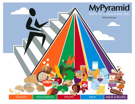 The food pyramid is a visual representation of how different foods and drinks contribute towards a healthy balanced diet. Pin by FOODGASM® on Health Sciences | Food pyramid ...