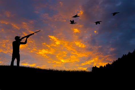 Natural Resources Board Approves Migratory Bird Hunting