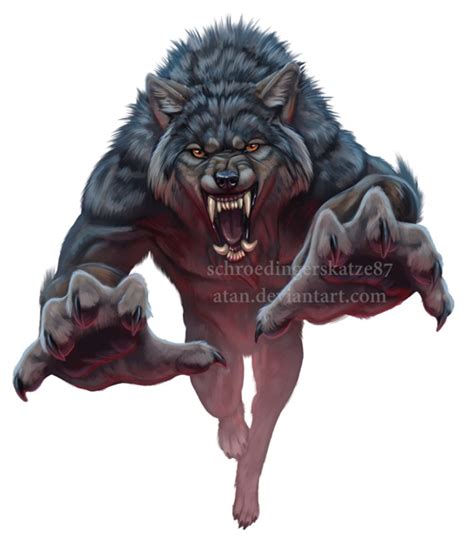 Jumping Werewolf By Atan On Deviantart Werewolf Mythical Creatures