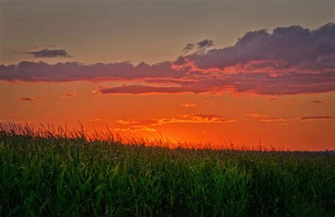 Iowa Cornfield At Sunset In Hdr Sunset Wonders Of The World Nature