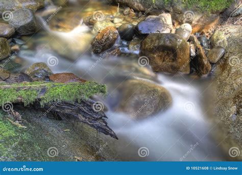 River In Spring Stock Photo Image Of Fresh Falling 10521608