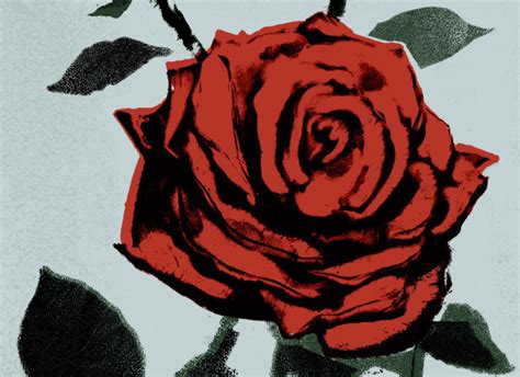 Red Roses Andy Lovell Projects Debut Art