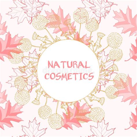 Vector Label For Natural Cosmetic Products Stock Vector Illustration